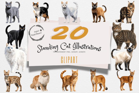 Exclusive Standing Cats Watercolor Art: Illustrations Review
