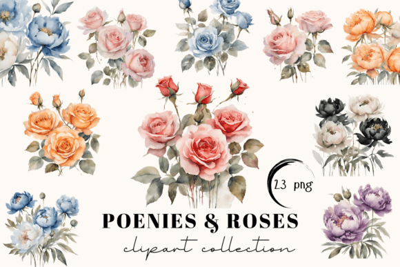Peony Roses Watercolor Clipart Illustrations Review
