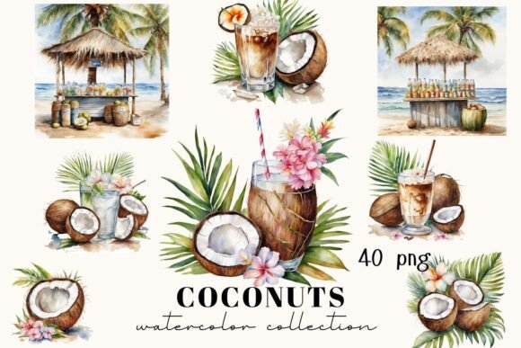 Tropical Watercolor Coconut Clipart Illustrations