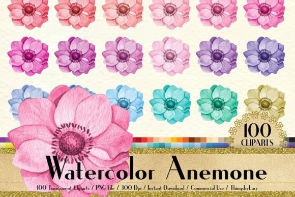 Watercolor Anemone Flower Clip Arts Illustrations