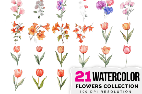 Watercolor Boho Flowers Clipart Bundle Illustrations