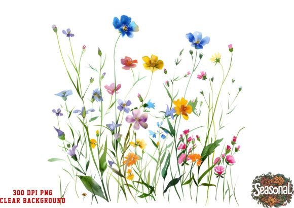 Watercolor Boho Flowers Sublimation Illustrations Review