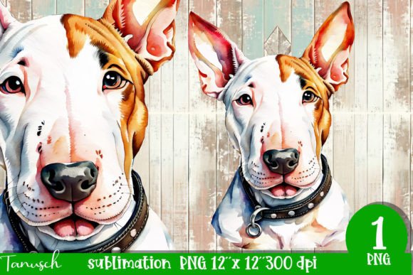 Watercolor Bull Terrier Sublimation Illustrations Review