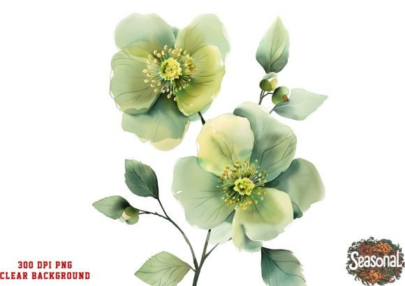 Watercolor Green and Gold Flower Illustrations