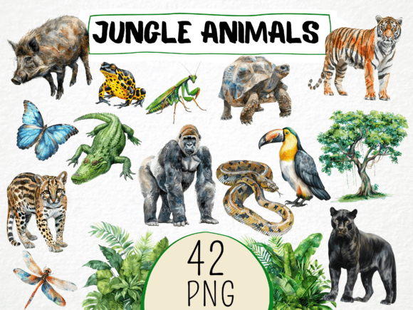 Watercolor Jungle Animals Clipart 42 Png Illustrations