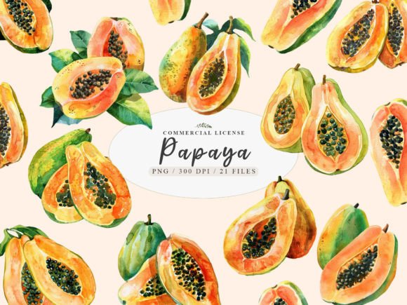 Watercolor Papaya Fruit Clipart: Illustrations Review